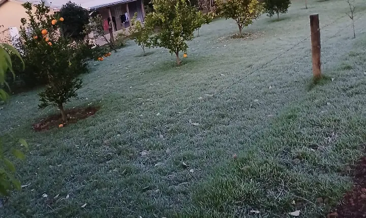 São Jorge D’Oeste enfrenta primeira grande geada do inverno com mínimas próximas de 0 °C