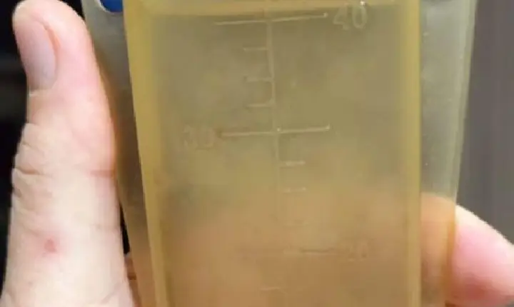 São Jorge D'Oeste registra 40 mm de chuva em poucas horas e alerta persiste no Sudoeste do Paraná