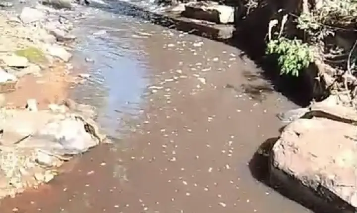 Secretaria de Meio Ambiente aciona IAT e Sanepar após suspeita de contaminação na captação de água em São Geraldo