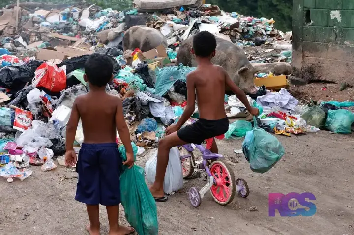 Senado aprova direito prioritário da criança a meio ambiente saudável