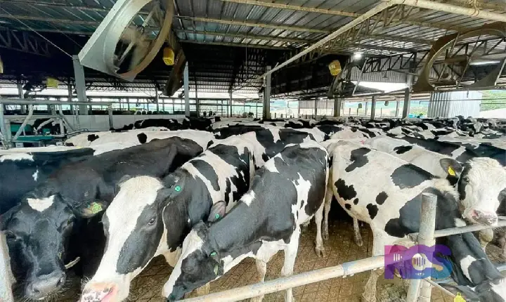 Sudoeste do Paraná tem 5% da população, mas responde por 12,9% do Valor Bruto da Produção estadual