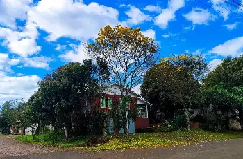 Galeria de Imagem