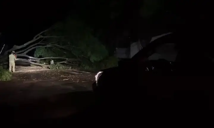 Temporal causa destruição em Dois Vizinhos e deixa região em alerta
