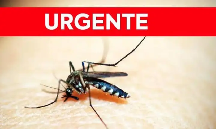 Terceiro óbito por Dengue registrado no município: Homem de 75 anos falece de complicações