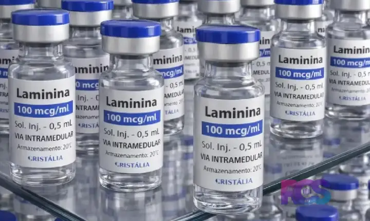 Testes clínicos fase 1 da polilaminina começam este mês