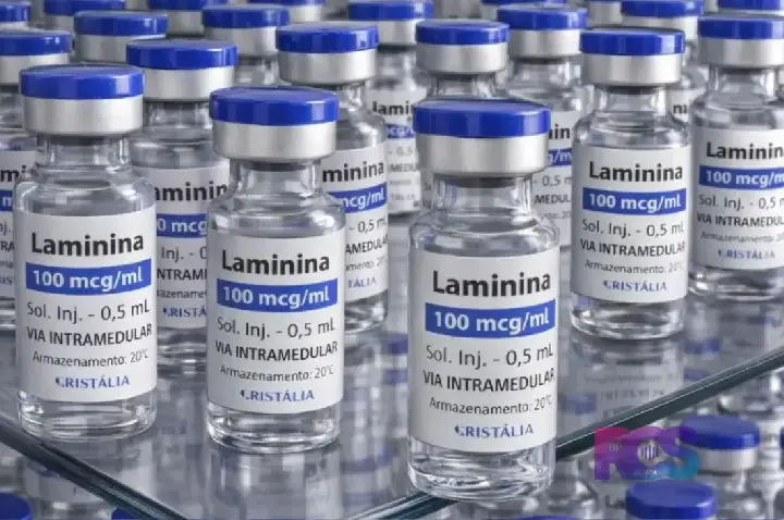 Testes clínicos fase 1 da polilaminina começam este mês