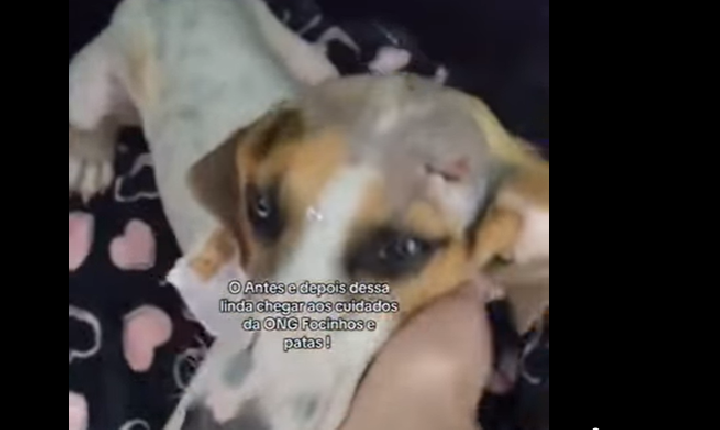 Uma história que começou com violência e indignação terminou em cuidado, solidariedade e esperança em São Jorge D’Oeste.