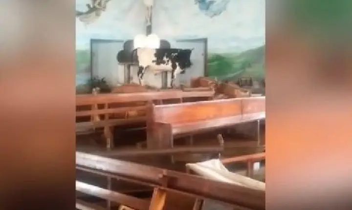 Vaca sobrevivente de enchente é encontrada em altar no Rio Grande do Sul