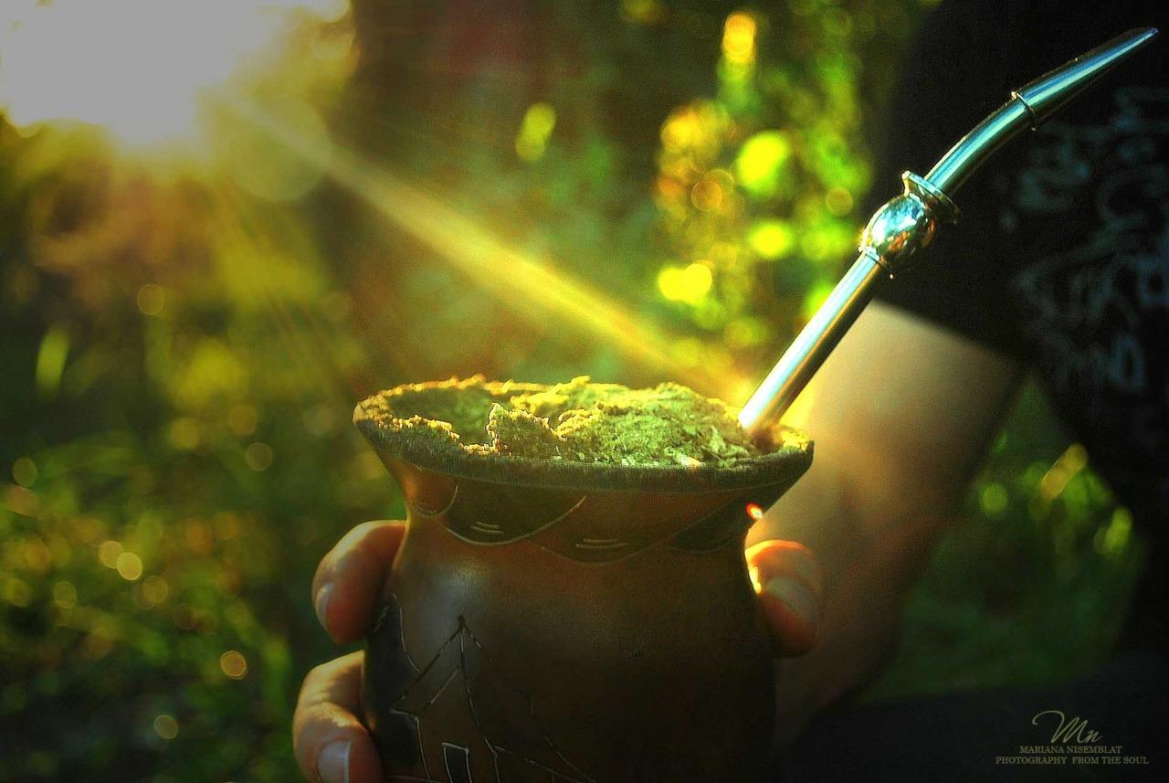 Dia do Chimarrão: história, tradição, hospitalidade e boas conversas