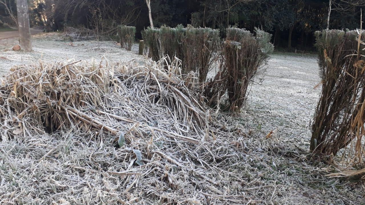 Primeiro frio do outono está chegando e pode ter até geada