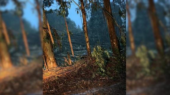 Defesa Civil confirma passagem de tornado em município do Oeste de SC