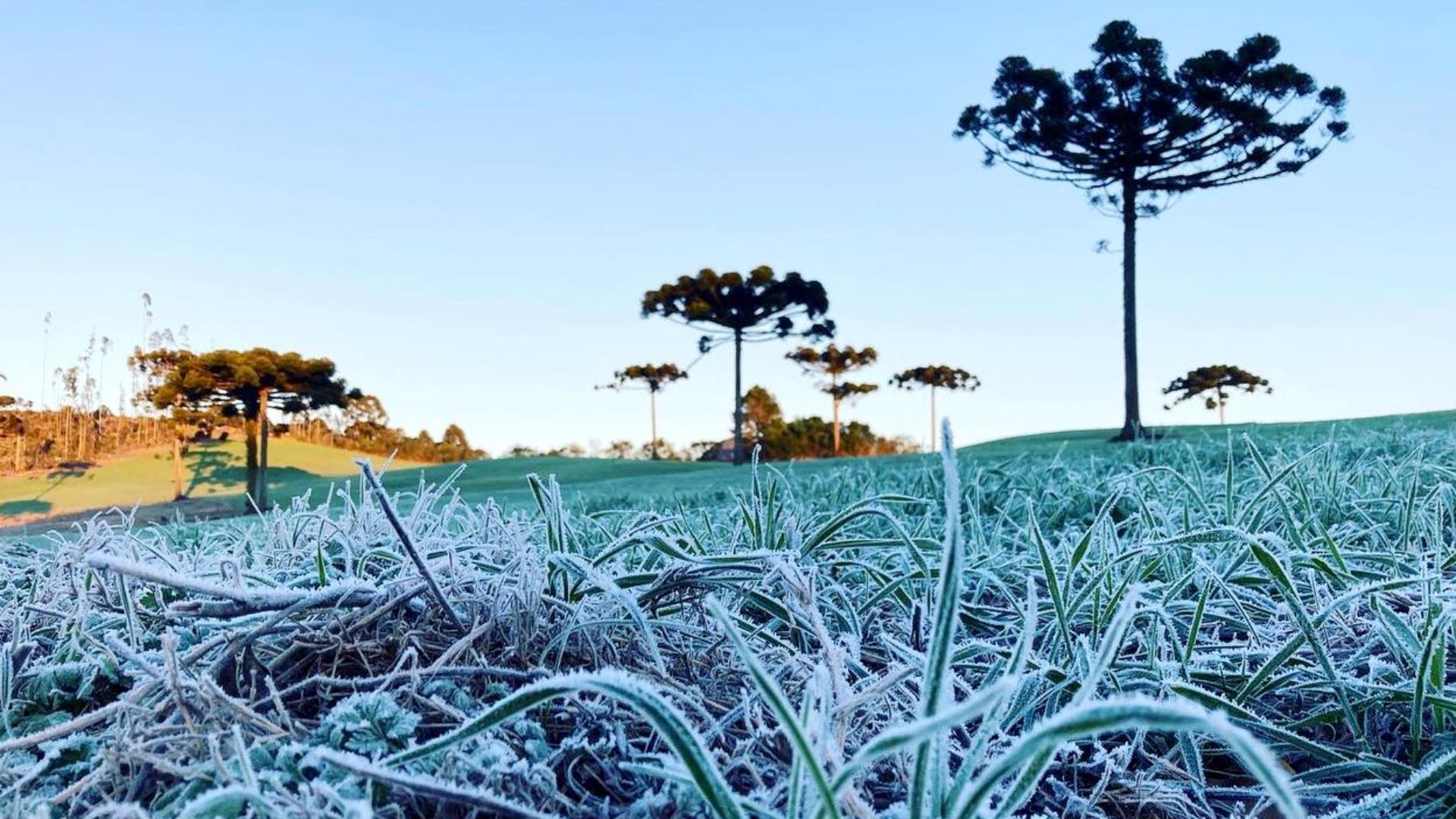 Massa de ar polar pode provocar 1ª geada do ano no PR neste fim de semana