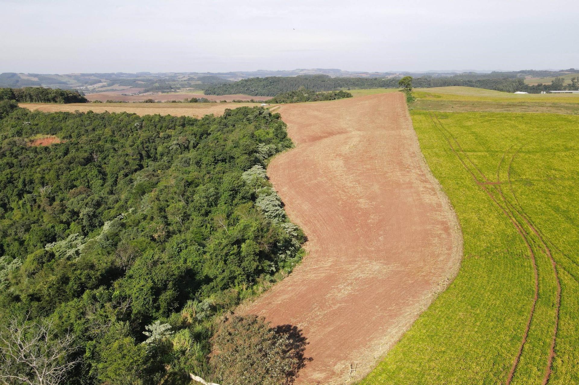 Operação contra o desmatamento ilegal no Sudoeste terminou com quase R$ 3 milhões em multa
