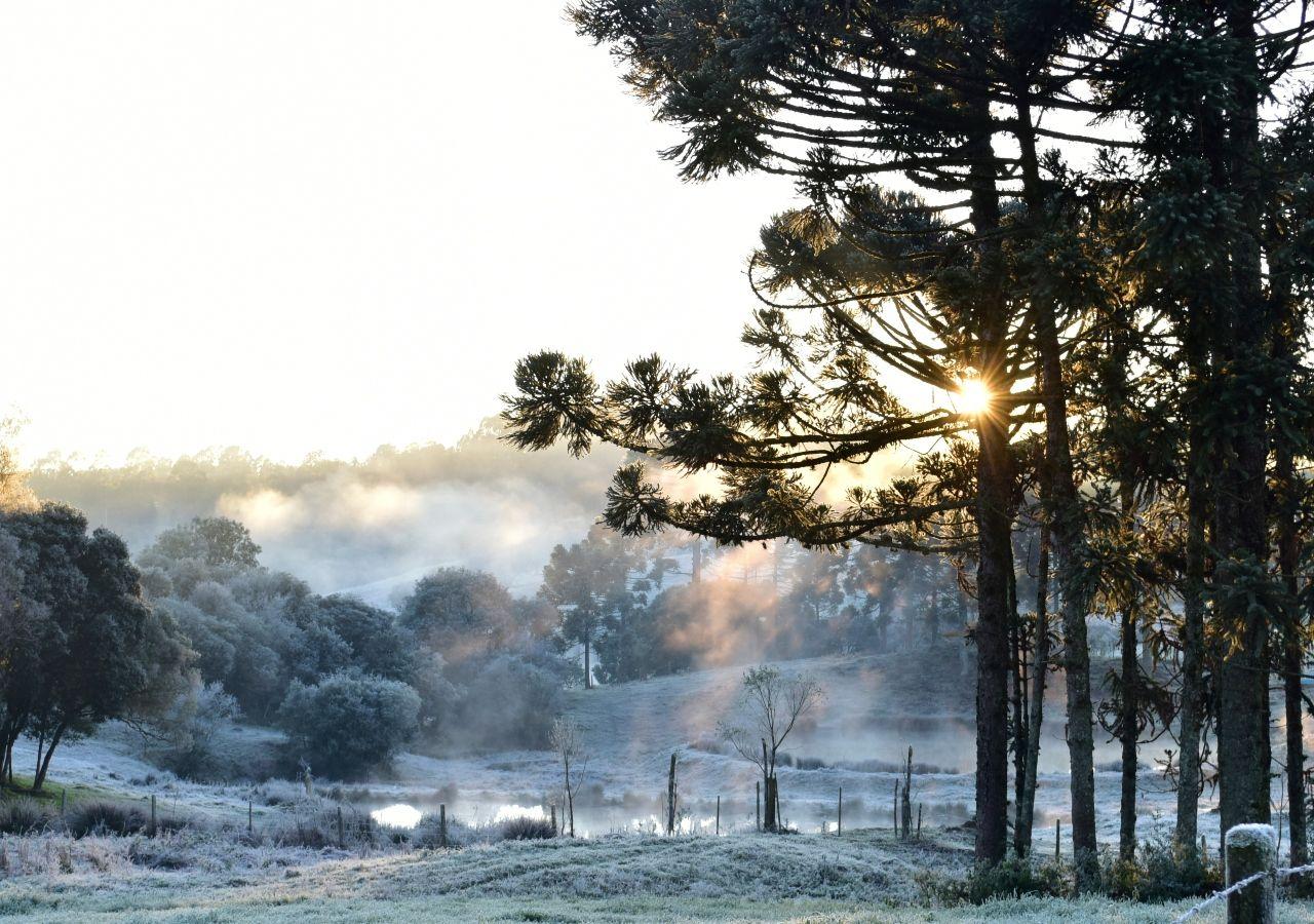 Previsão do Tempo: Dias Frios em São Jorge D'Oeste