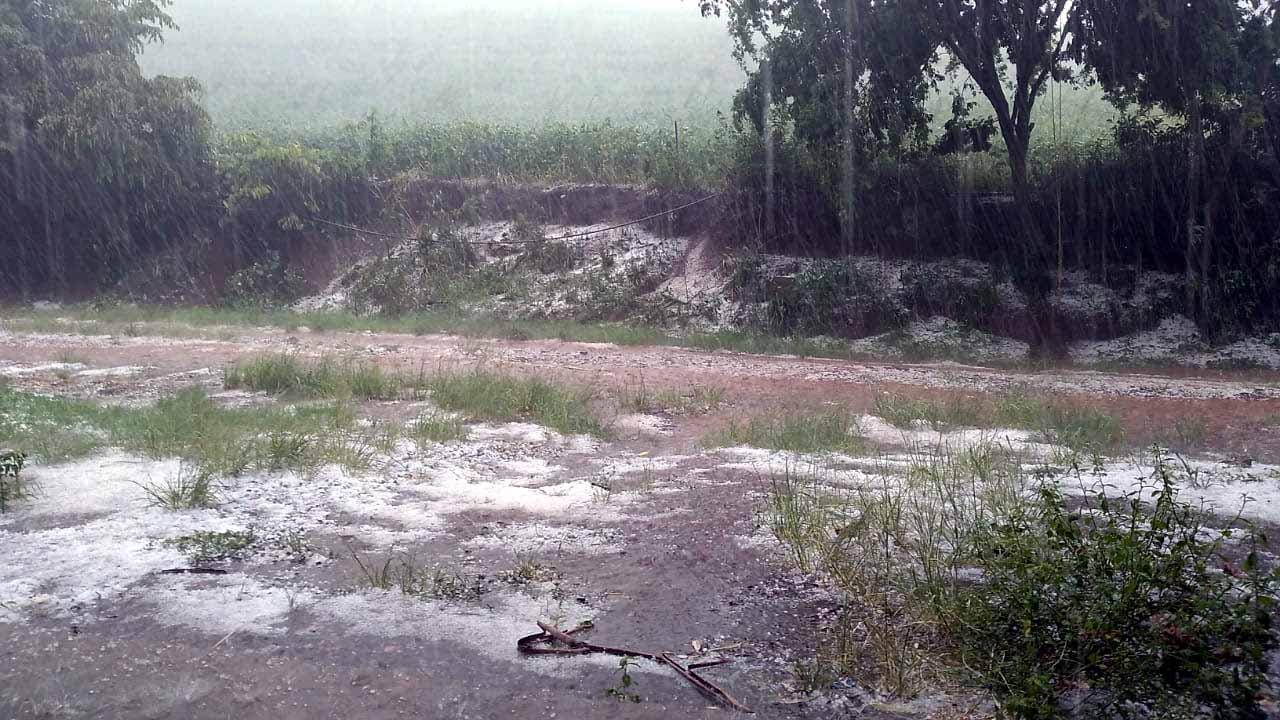 Vai chover mais de 400 mm nos próximos dias; veja quando e onde