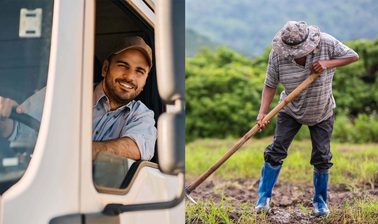 Dia do Colono e do Motorista, entenda a data