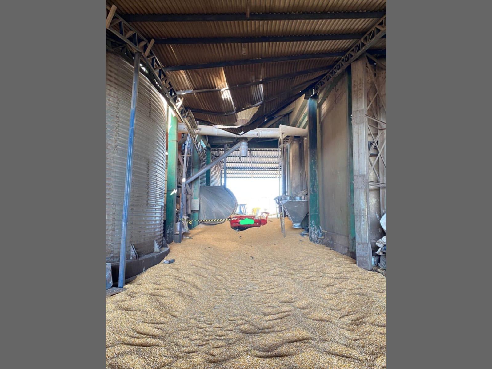 Homem morre soterrado por milho após rompimento de silo em Santa Catarina