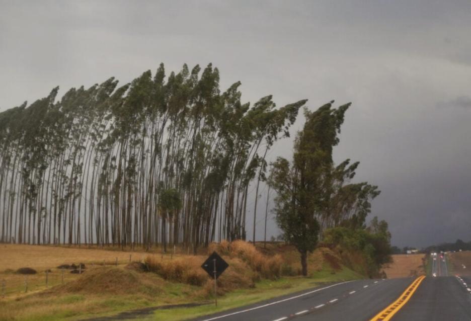 Alerta de chuvas intensas no Paraná