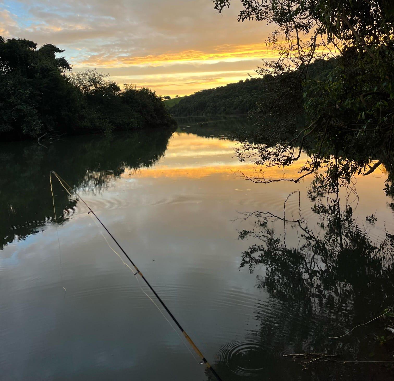 Piracema: termina neste sábado o período de restrição da pesca no Paraná