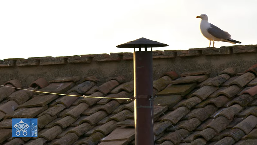 CONCLAVE 2025: O MUNDO AGUARDA COM FÉ A ESCOLHA DO NOVO PAPA