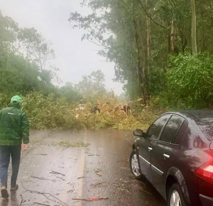 Forte temporal devasta alegrete e Região Oeste do RS