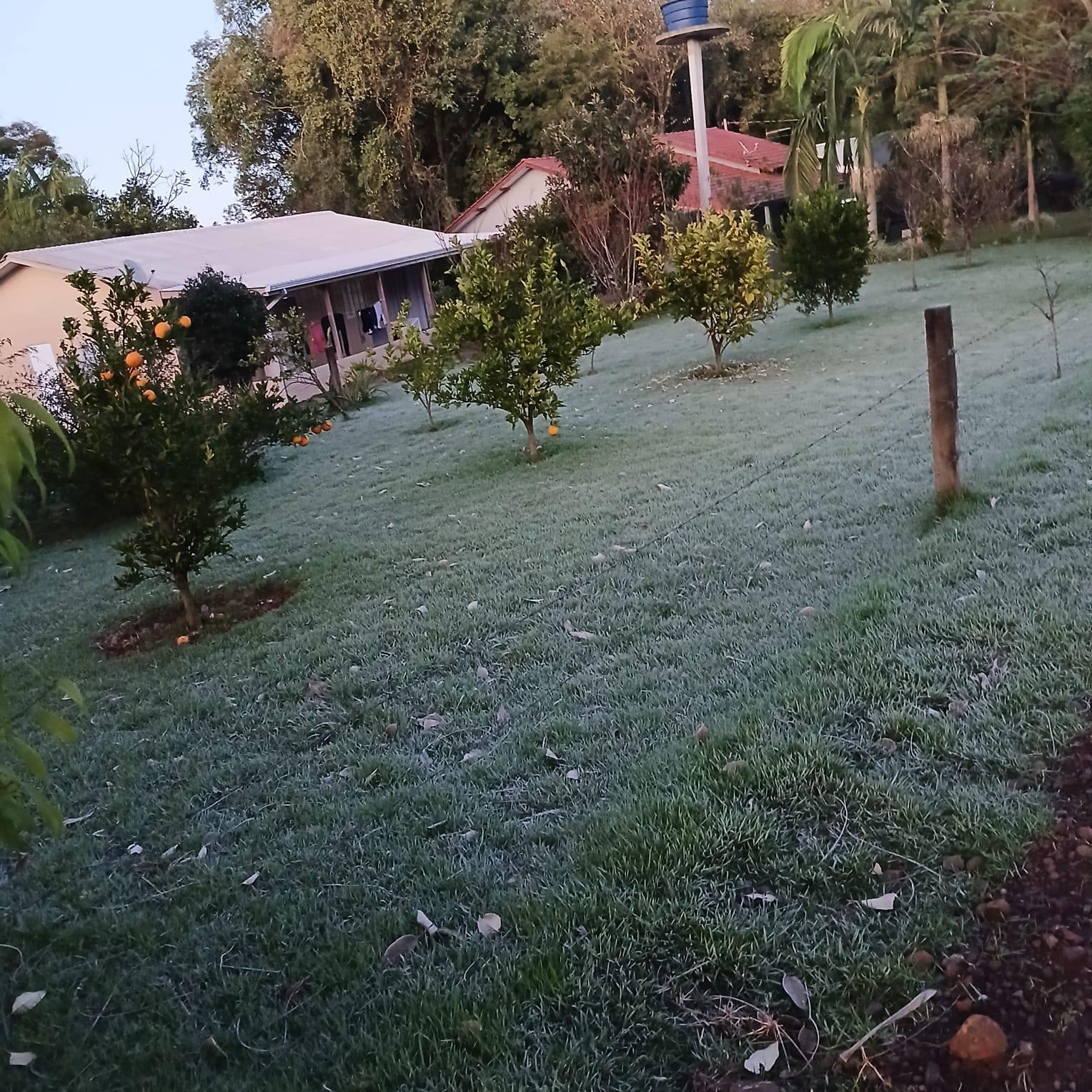 São Jorge D’Oeste enfrenta primeira grande geada do inverno com mínimas próximas de 0 °C