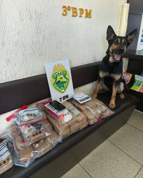 Polícia Militar apreende mais de 25 kg de drogas em operação em Pato Branco