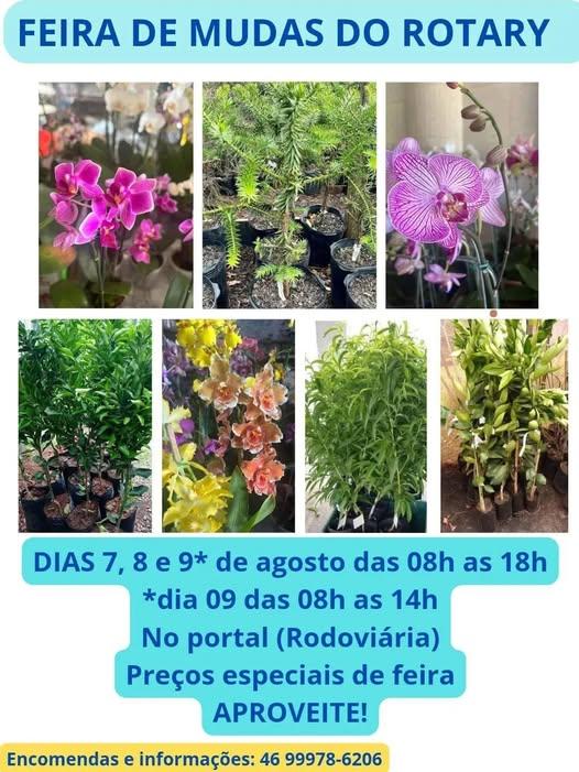 Rotary Club promove nova edição da Feira de Mudas em São Jorge D’Oeste com variedade, facilidades e solidariedade
