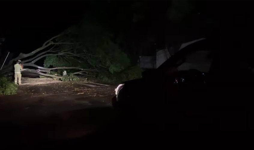 Temporal causa destruição em Dois Vizinhos e deixa região em alerta