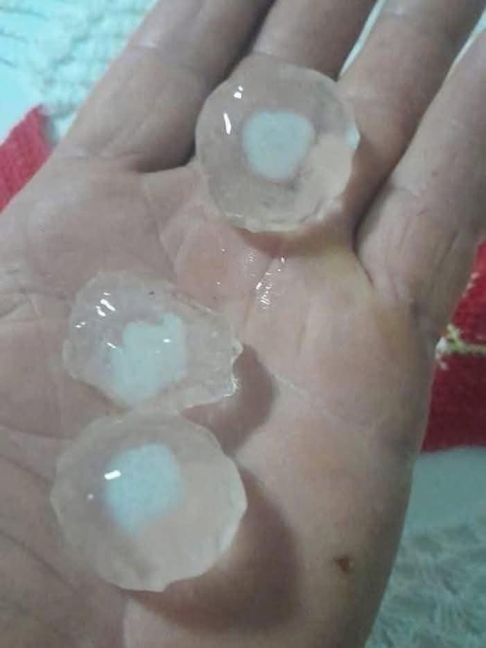 Temporal causa estragos em Três Barras do Paraná: residências destelhadas, quedas de árvores e pane no abastecimento de água
