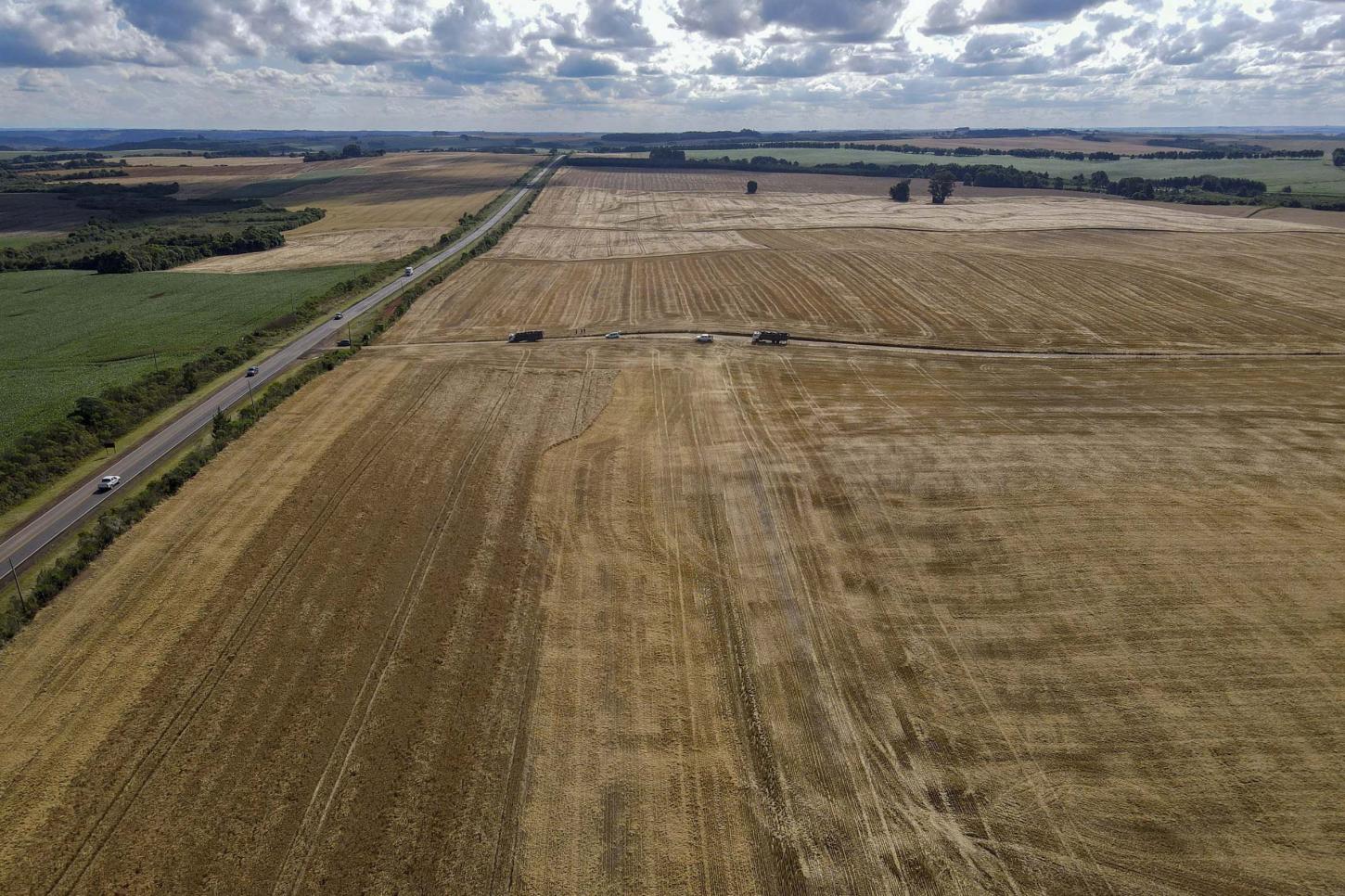 Com 46,8 milhões de toneladas, Paraná teve maior safra de grãos de sua história em 24/25