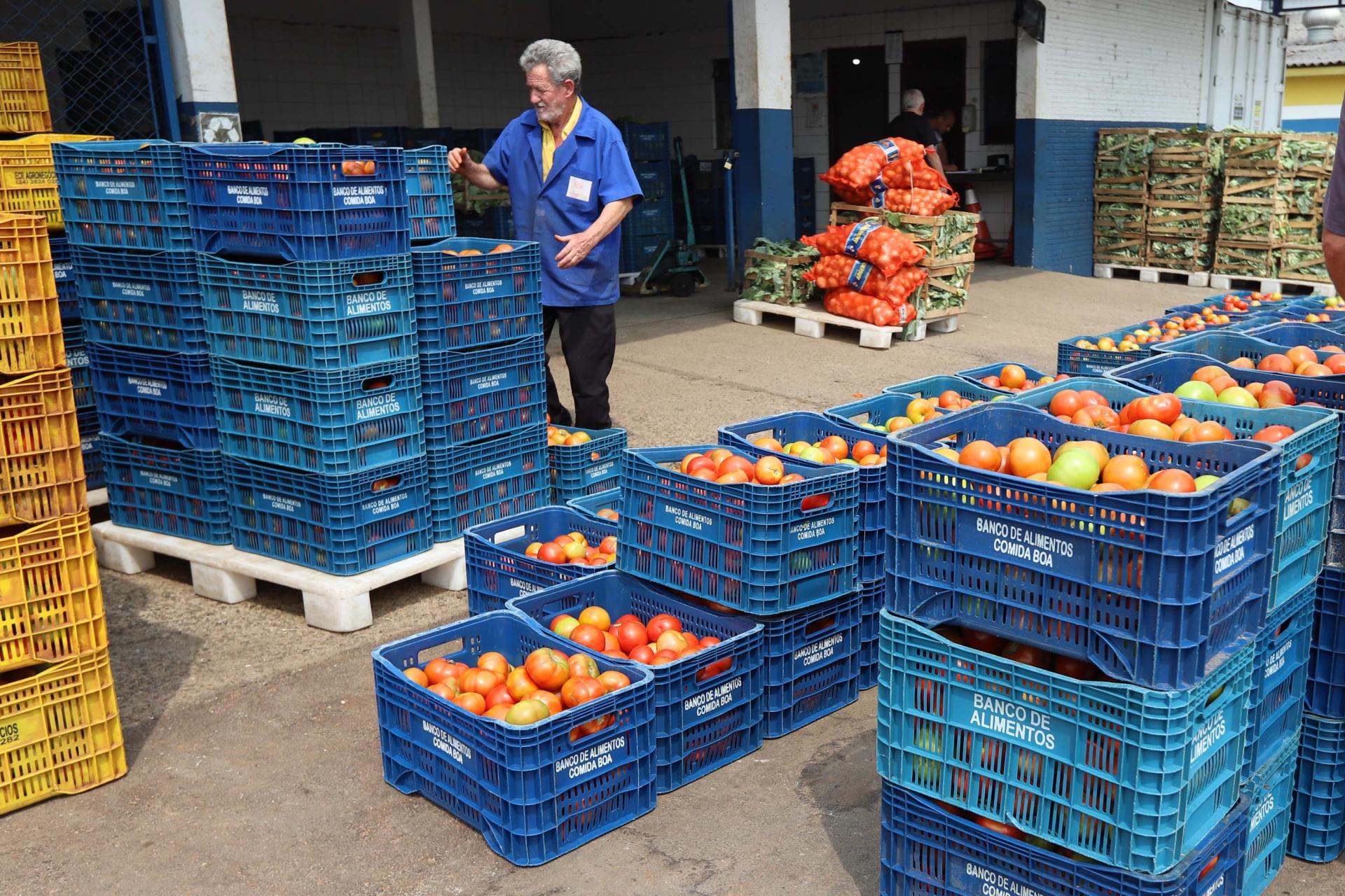Paraná tem maior número de municípios com políticas de segurança alimentar do Brasil