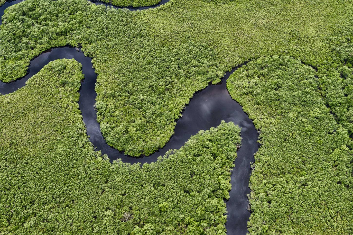 Com tecnologia e fiscalização, Paraná reduz desmatamento de maneira consistente
