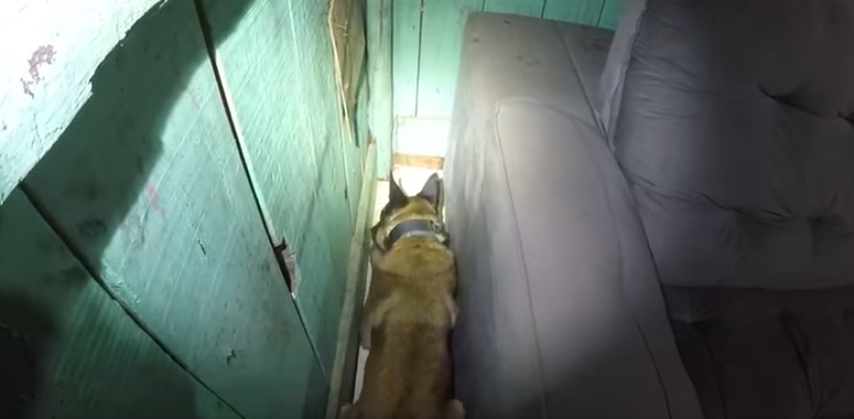 Operação conjunta em Coronel Vivida apreende mais de 1 kg de crack, R$ 7 mil e prende três pessoas