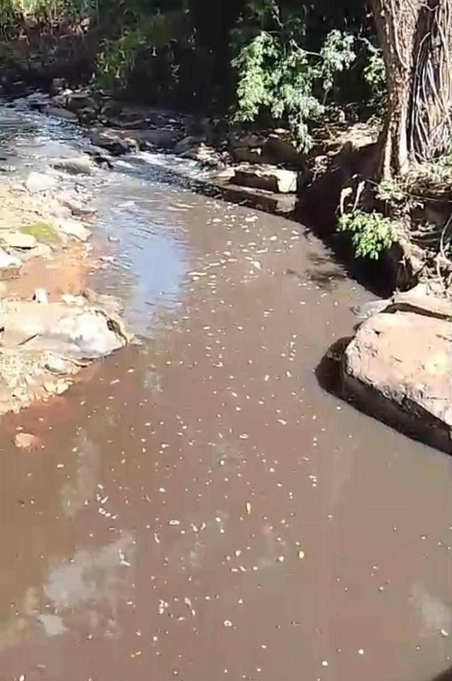 Secretaria de Meio Ambiente aciona IAT e Sanepar após suspeita de contaminação na captação de água em São Geraldo