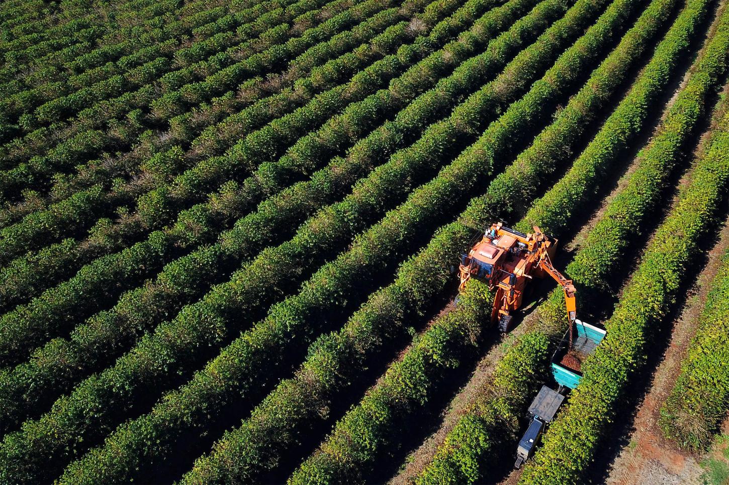Agronegócio somou R$ 1,26 bilhão em contratações do BRDE no Paraná em 2025