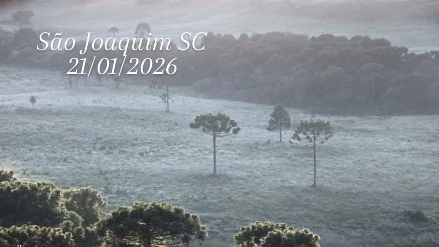 Geada é registrada em São Joaquim em pleno verão e confirma frio atípico na Serra Catarinense