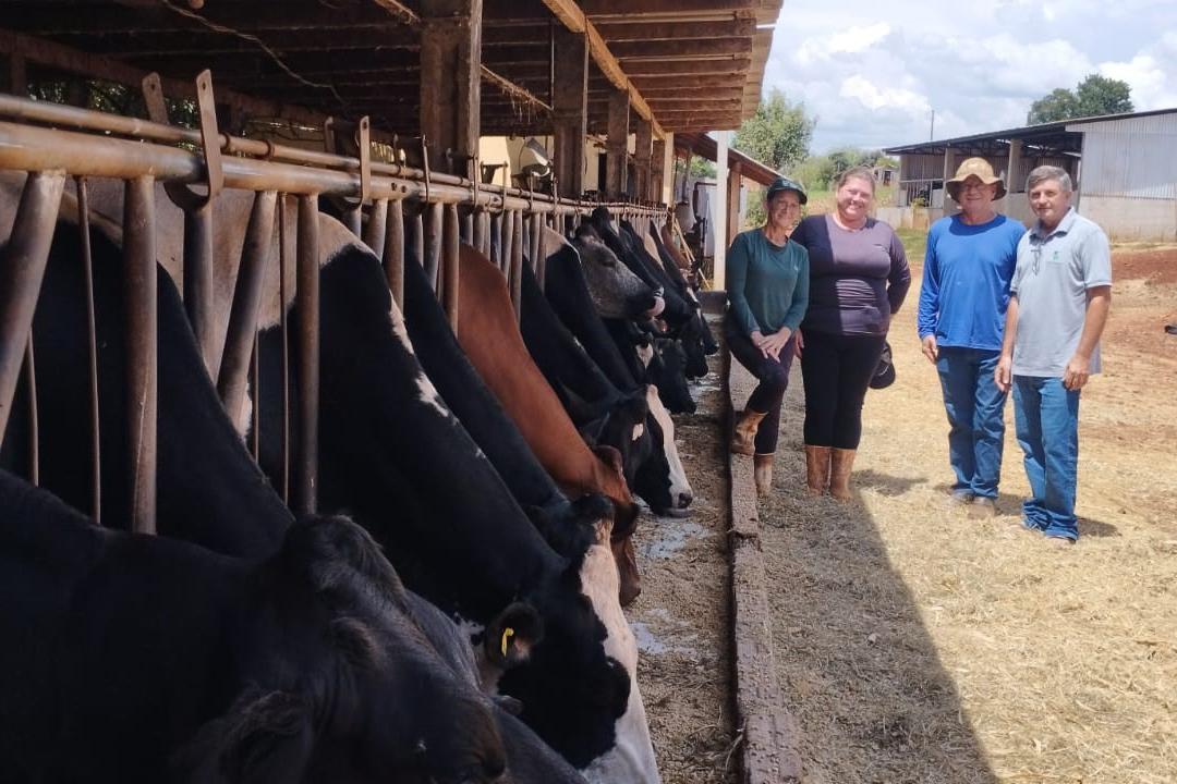 Melhorias do solo, pastagens e nutrição do rebanho fortalecem pecuária leiteira do Paraná