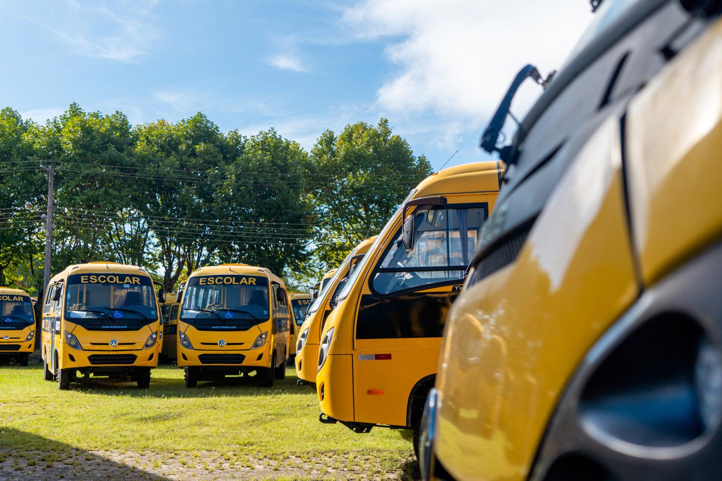 Alunos da rede estadual devem conferir cadastro para garantir o transporte escolar em 2026