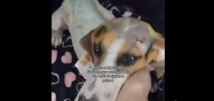 Uma história que começou com violência e indignação terminou em cuidado, solidariedade e esperança em São Jorge D’Oeste.