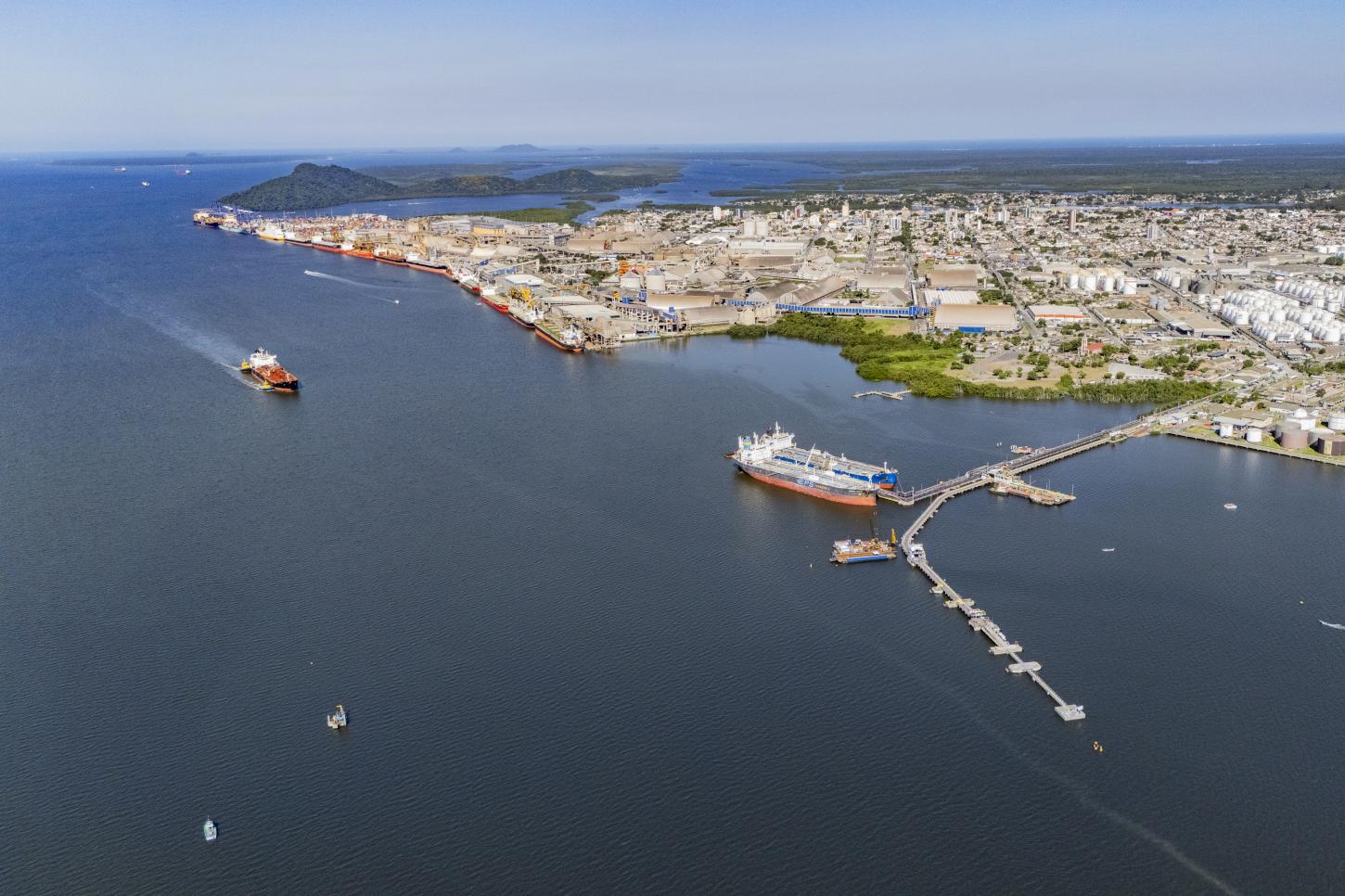 Porto de Paranaguá concentra 70% das exportações brasileiras de óleo de soja no 1º trimestre