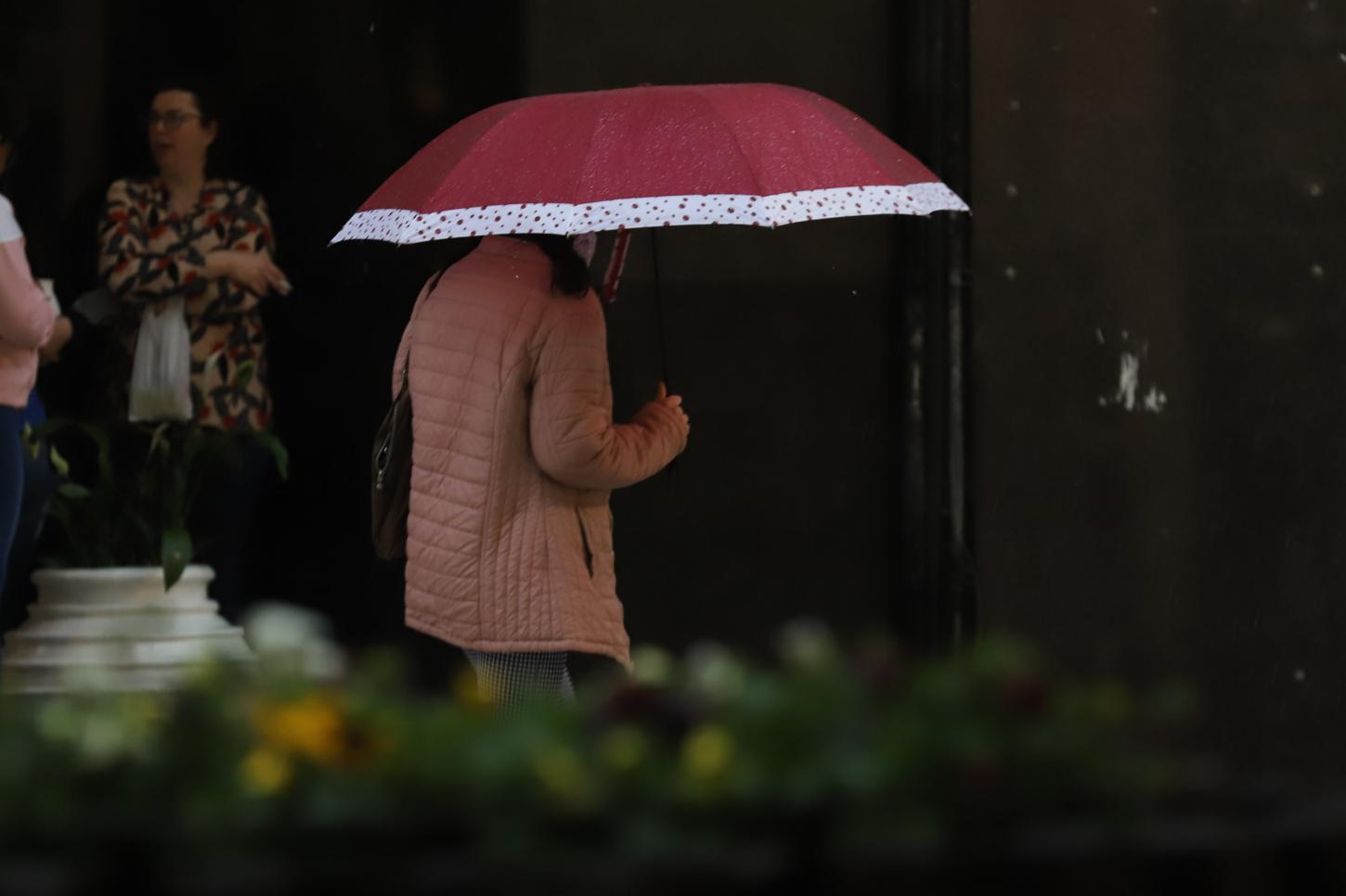 Chuva volta ao Paraná a partir do fim de semana, prevê o Simepar
