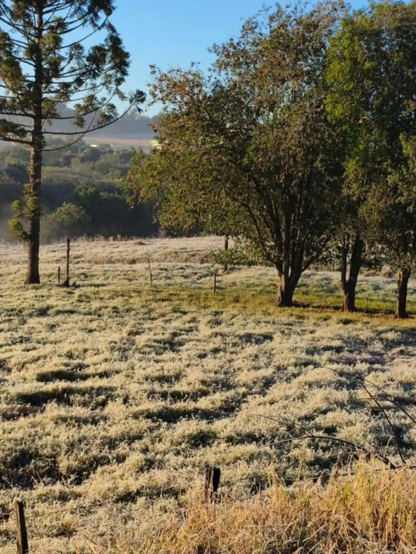 Geada cobre paisagens de São Jorge D’Oeste nesta quinta-feira (25)