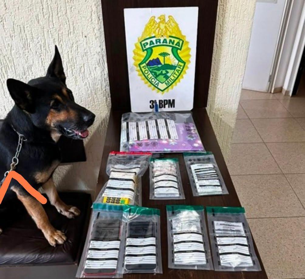 Polícia Militar prende suspeito de tráfico de drogas por delivery e apreende cocaína, dinheiro e veículo no sudoeste