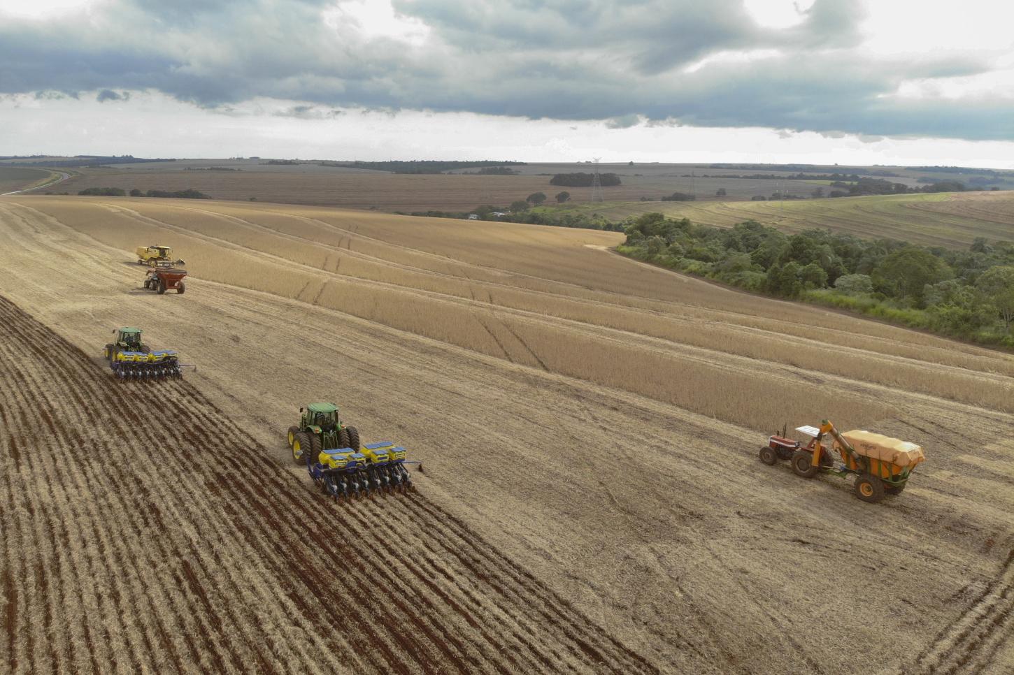 Vazio sanitário da soja está em vigor no Sudoeste do Paraná e segue até 10 de setembro