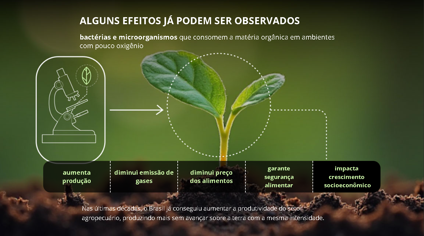 MUDANÇAS CLIMÁTICAS AFETAM A PRODUÇÃO DE ALIMENTOS