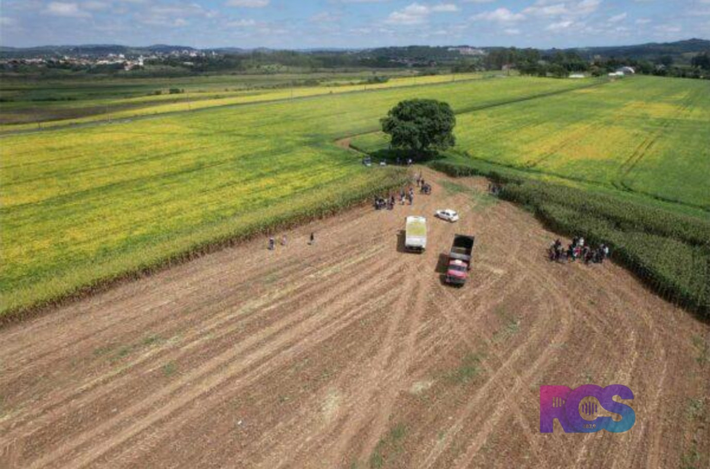 Alunos de colégios agrícolas do Paraná poderão operar tratores em atividades supervisionadas