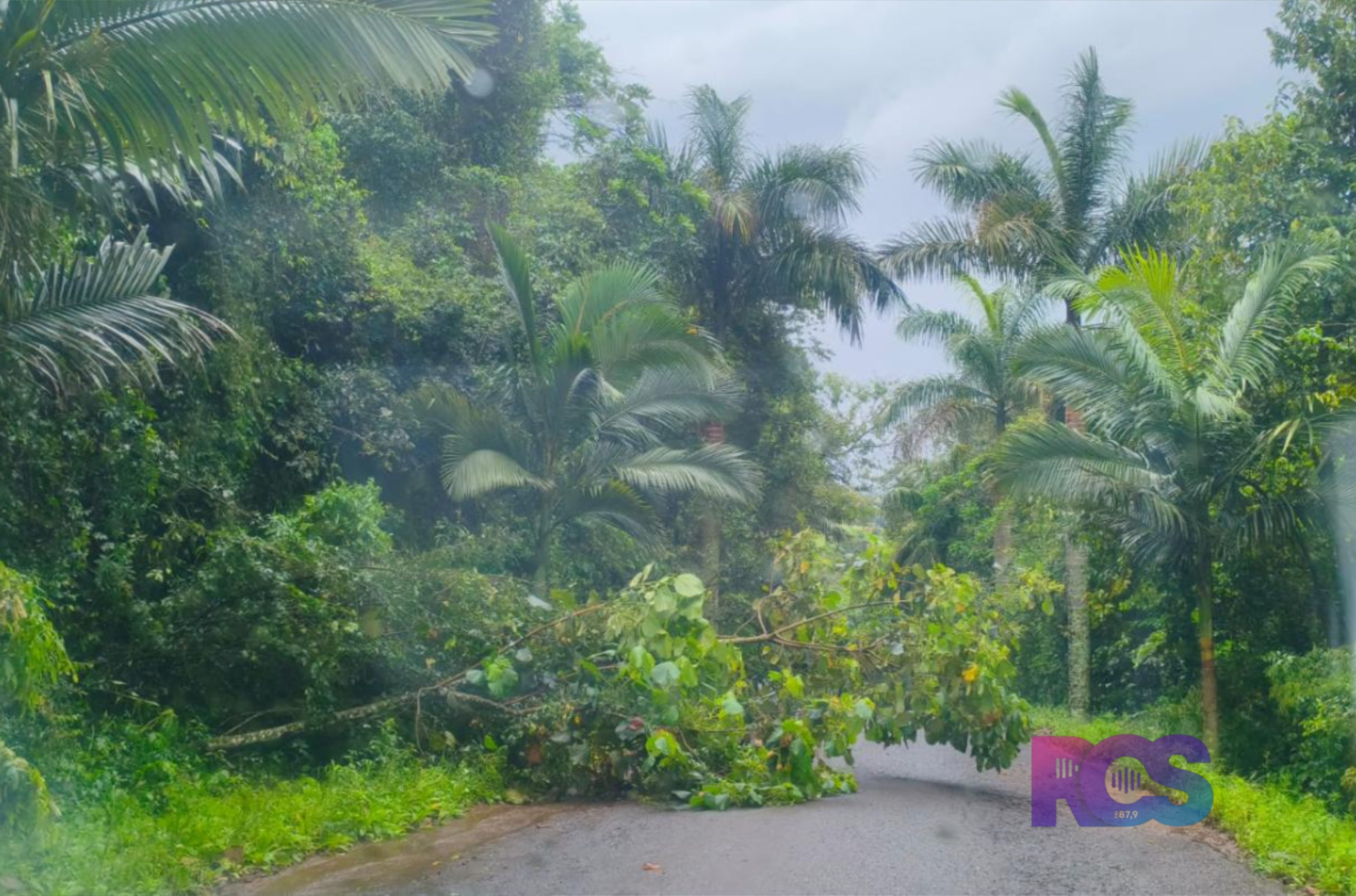 Fortes chuvas mantêm São Jorge D’Oeste em alerta; queda de galhos exige atenção redobrada nas estradas