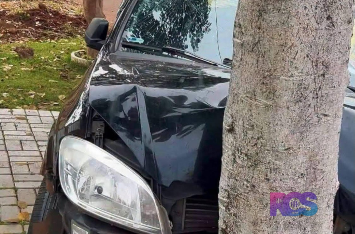 Realeza: mulher fica ferida após ser atropelada durante desentendimento com ex-cunhado