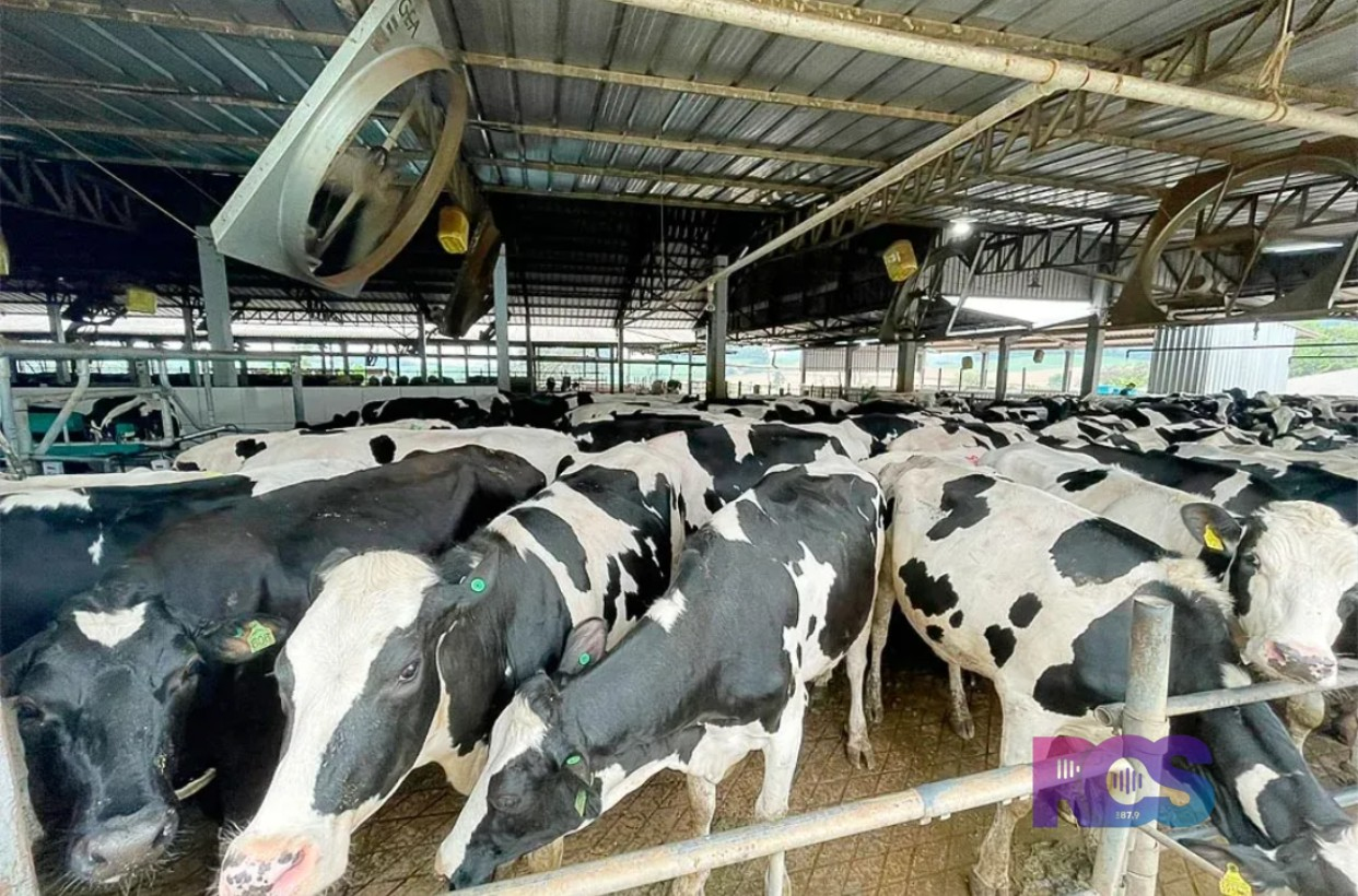 Sudoeste do Paraná tem 5% da população, mas responde por 12,9% do Valor Bruto da Produção estadual